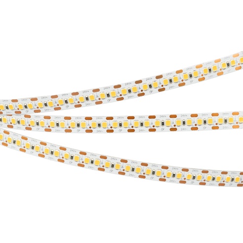 Лента светодиодная RT 2-5000 24V Cx2 Warm3000 10mm (2835, 168 LED/m, LUX) (Arlight, 17 Вт/м, IP20)
