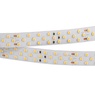 Лента светодиодная RT 2-5000 24V Warm3000 3x2 (2835, 1260 LED, LUX) (Arlight, 27 Вт/м, IP20)